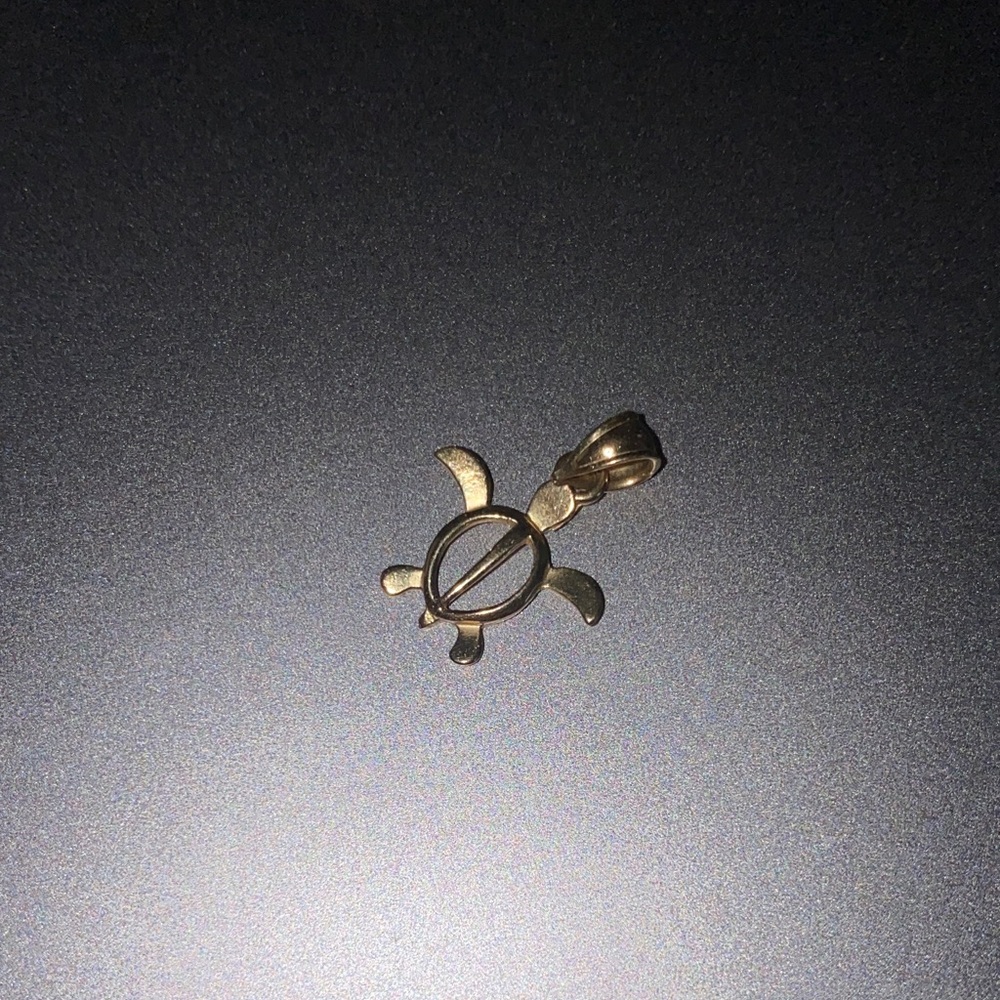 14K Gold Turtle Pendant